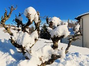 Miragoli con Monte Castello (1089 m), innevati e baciati dal sole-22nov25 - FOTOGALLERY